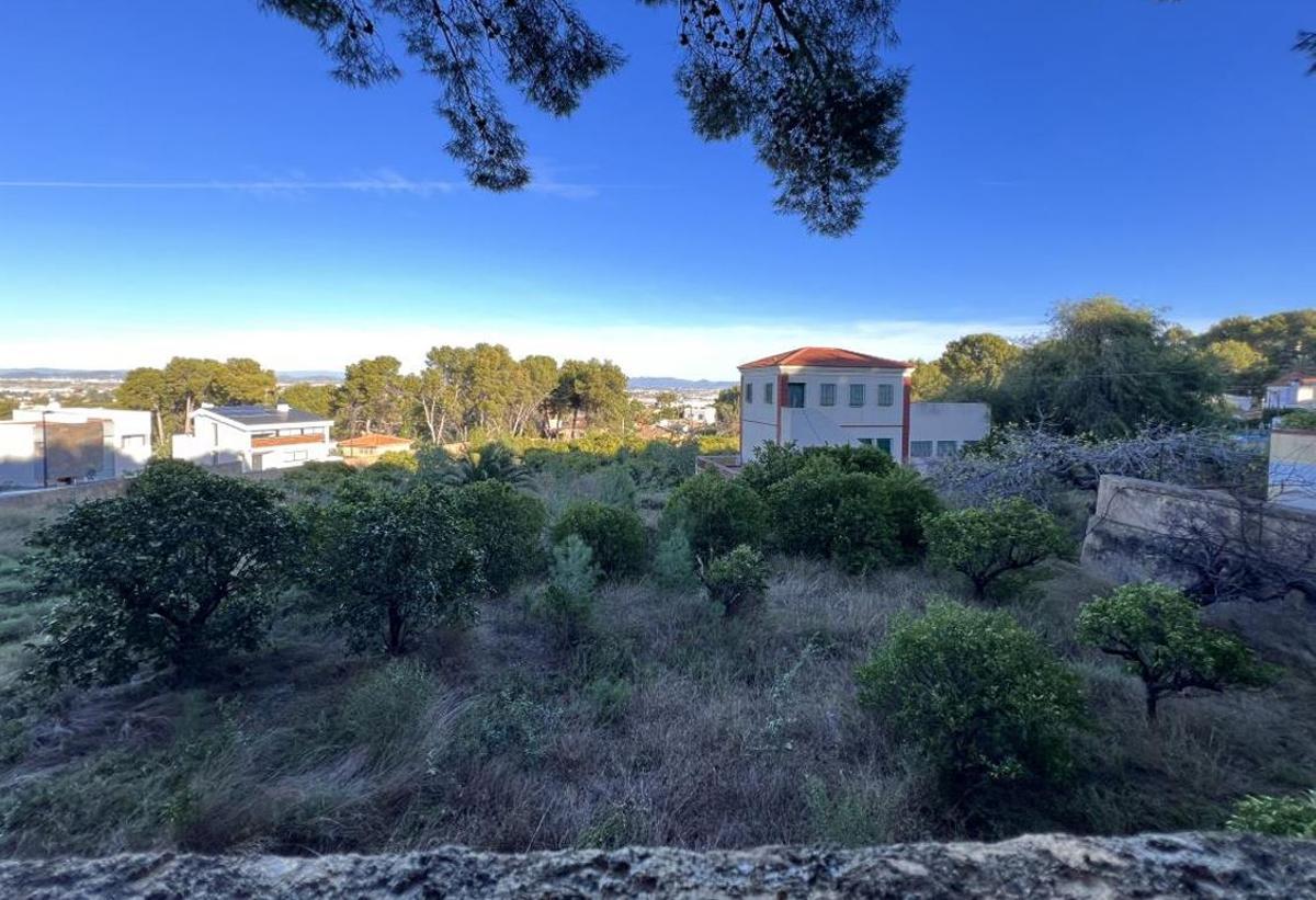 Interior de la parcela de Juan de Juanes