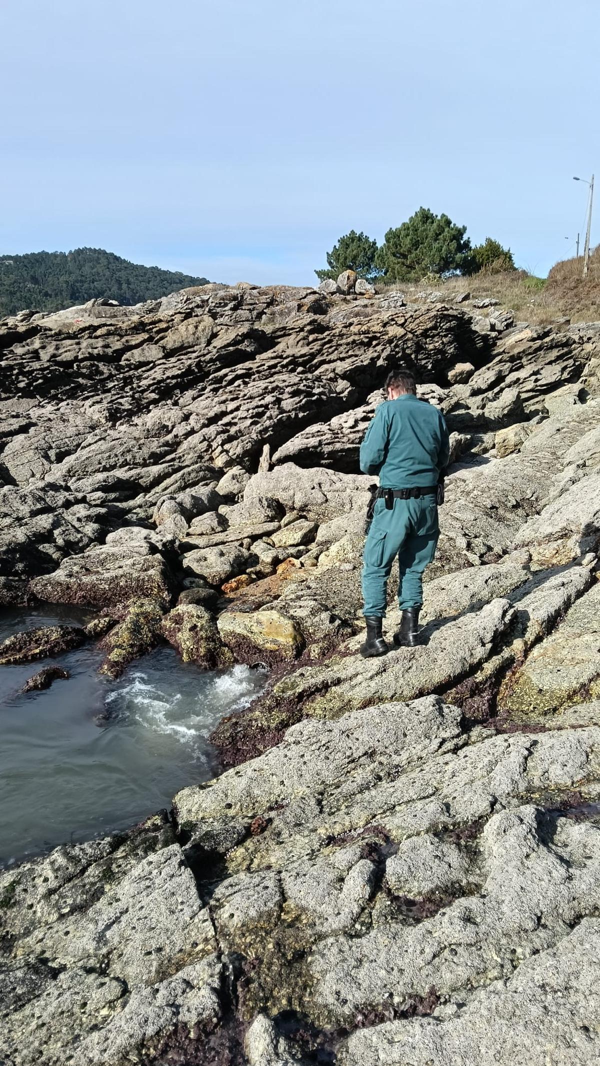 Un agente del Seprona (Servicio de Protección de la Naturaleza) de la Guardia Civil, ayer en la zona.