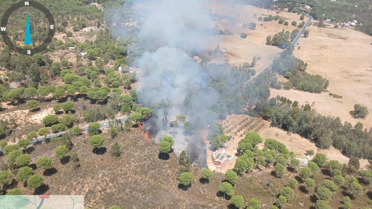 Amplio despliegue por un incendio forestal declarado en Beas.