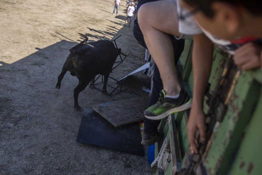 Fiestas en la provincia | Encierro en Fuentelapeña