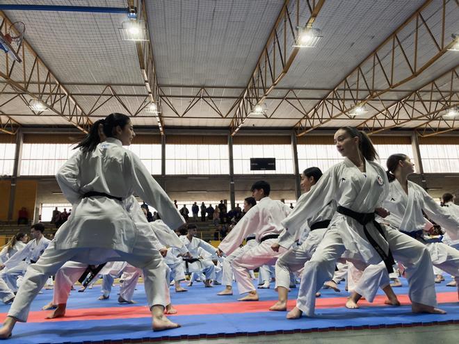 Lecciones sobre el tatami: así fue el segundo curso "Dale un golpe a la ELA" en el polideportivo de Grado