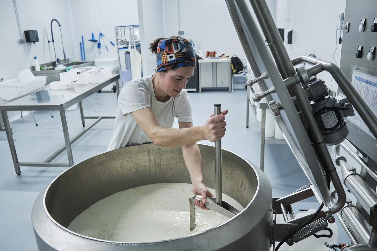 Anna Puig, quesera usuaria del obrador comunitario El Quall promovido por el Consorci del Lluçanès, elaborando queso de leche cruda de vaca que comercializa bajo el nombre de LA PETITA ÀNIMA