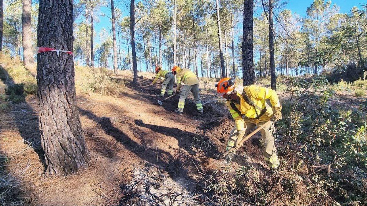 Efectivos del Plan Infoex realizan labores preventivas en el terreno forestal.