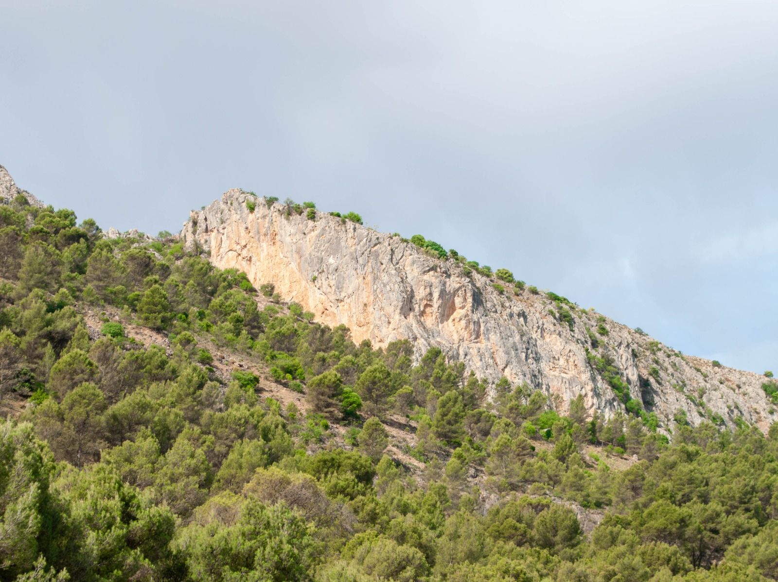 La Sierra del Camorro, en Cuevas de San Marcos