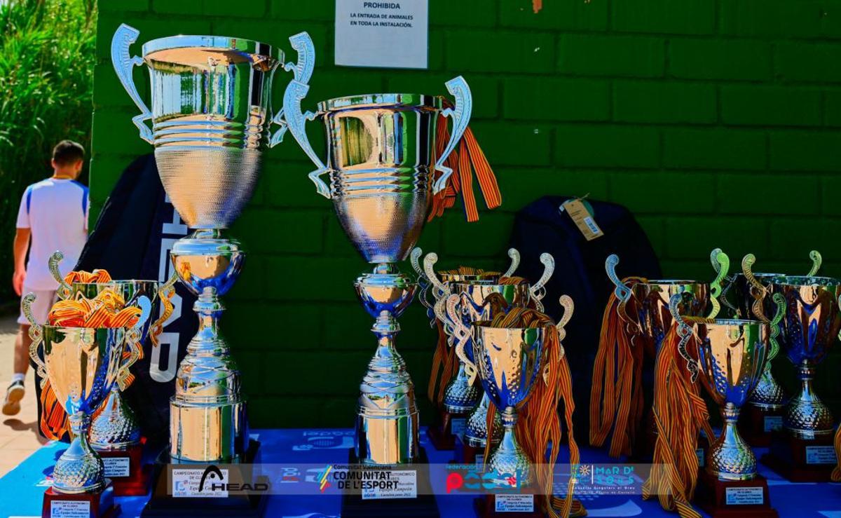 Trofeos para campeones y subcampeones del Campeonato Autonómico de Clubes.