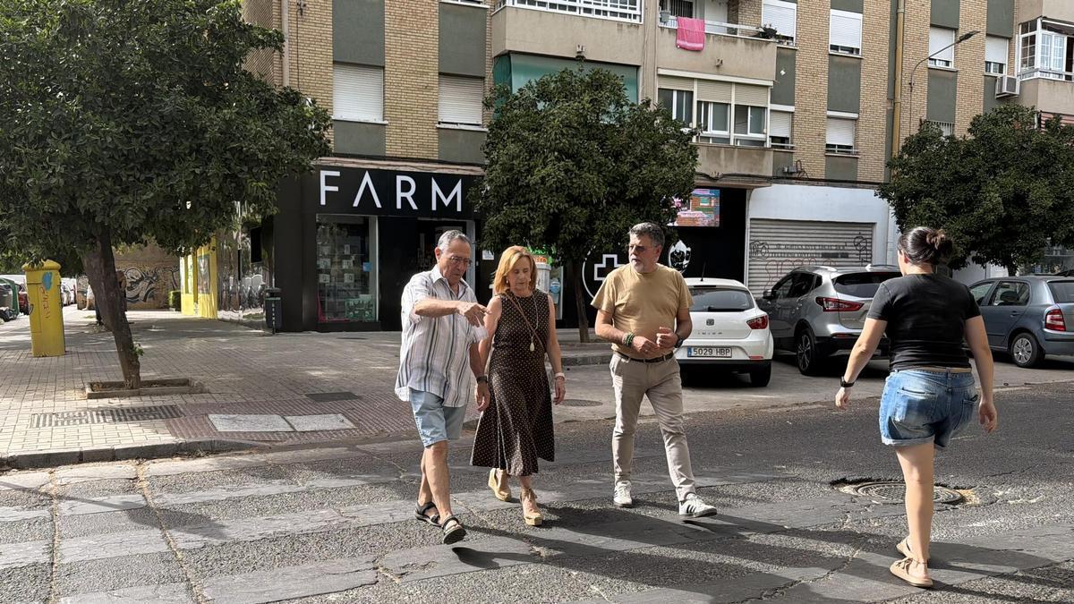 Los socialistas acusan “dejadez absoluta” al equipo de gobierno del Ayuntamiento de Málaga y reclaman un plan urgente de mantenimiento y repintado de los pasos de peatones