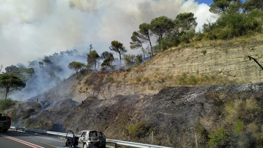 El foc es va originar per l&#039;incendi d&#039;un vehicle a la carretera C-15.