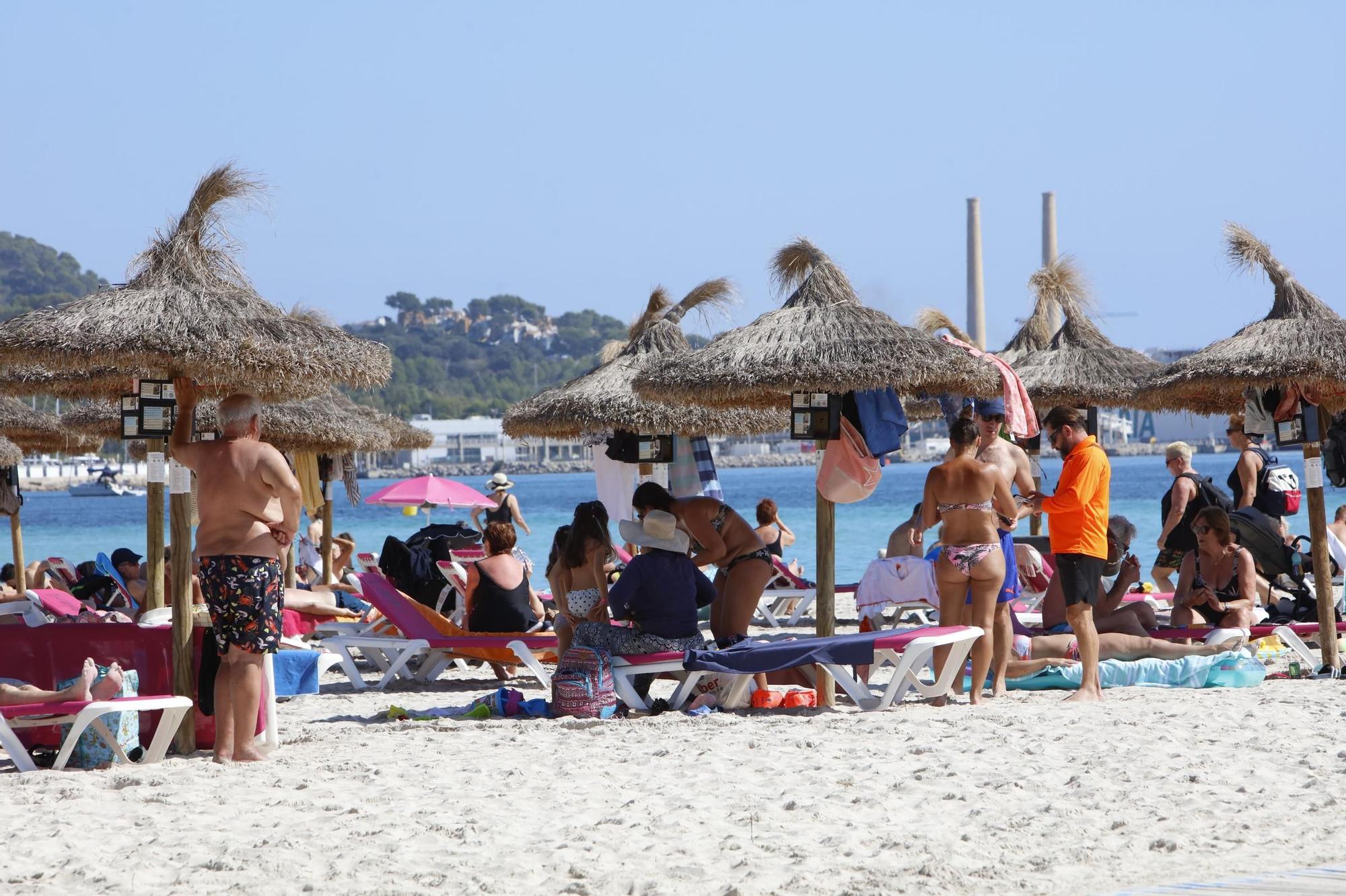 Sommer-Urlaub im Oktober: So sieht es derzeit am Strand von Alcúdia auf Mallorca aus