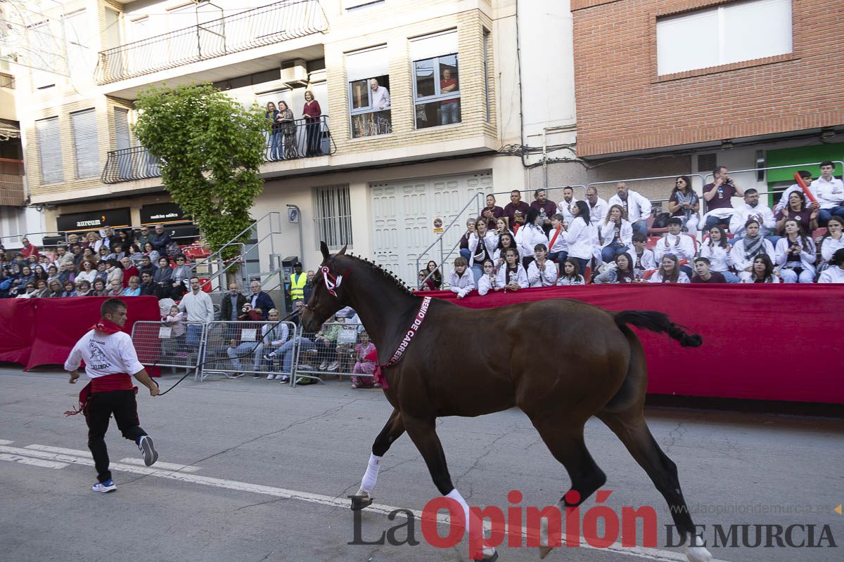 Fiestas de Caravaca | Desfile día 4 de mayo (Bando de los Caballos del Vino)