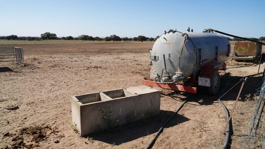 Las explotaciones ganaderas se adaptan para hacer frente al calor