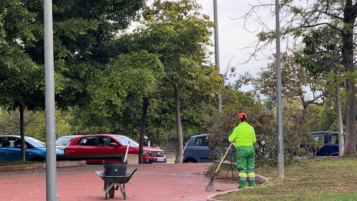 Un trabajador de zonas verdes