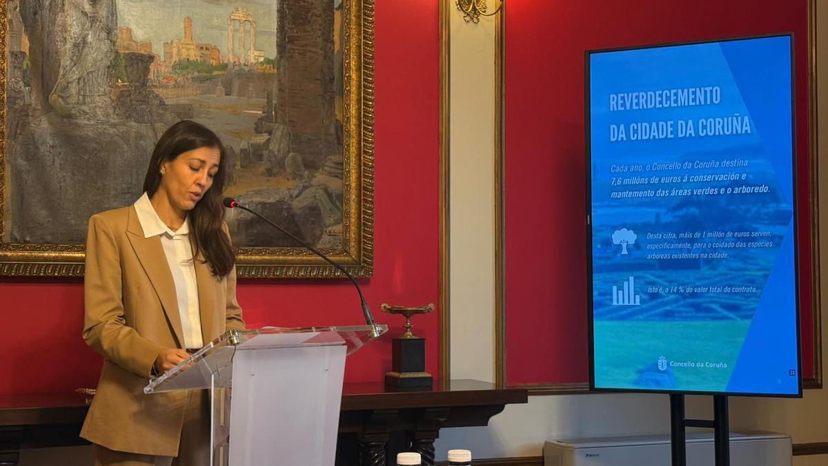 El Concello de A Coruña licitará un plan director de arbolado para plantar y proteger especies.