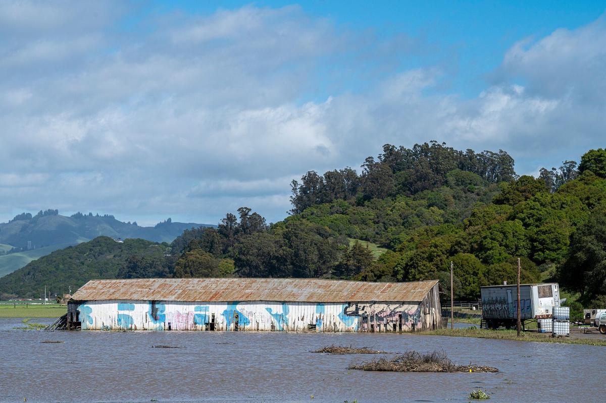 Campos inundados en Pájaro (California) debido al paso de un río atmosférico