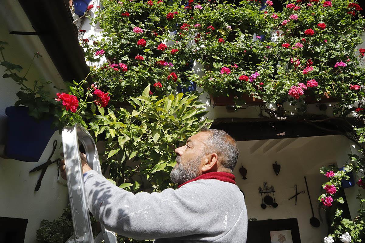 Pocos daños en los patios de Córdoba tras la borrasca Nelson