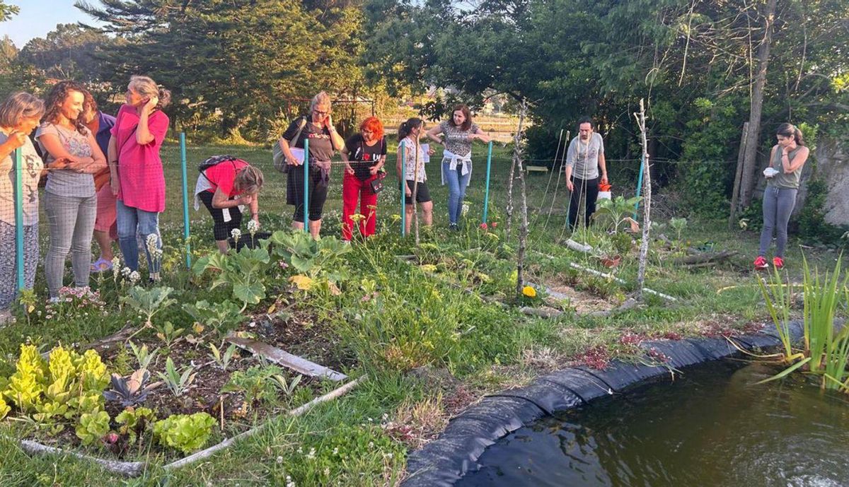 El grupo en el terreno, comprobando el estado concreto de una huerta. | FdV