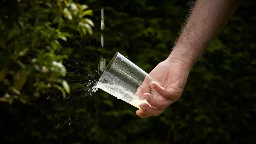 Vinos y bebidas - La selección de Mallorca Delicia