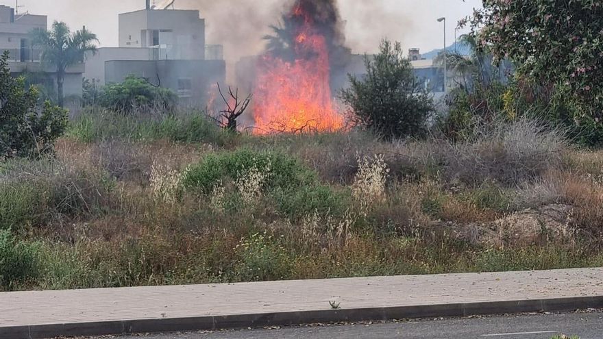 Susto por un incendio en la avenida de las Naciones en Alicante
