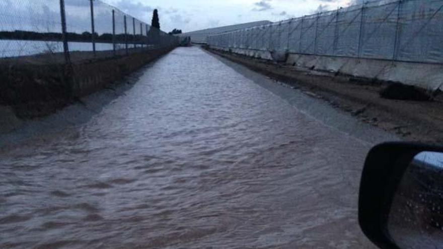 Pilar de la Horadada reclama soluciones a la CHS ante las inundaciones