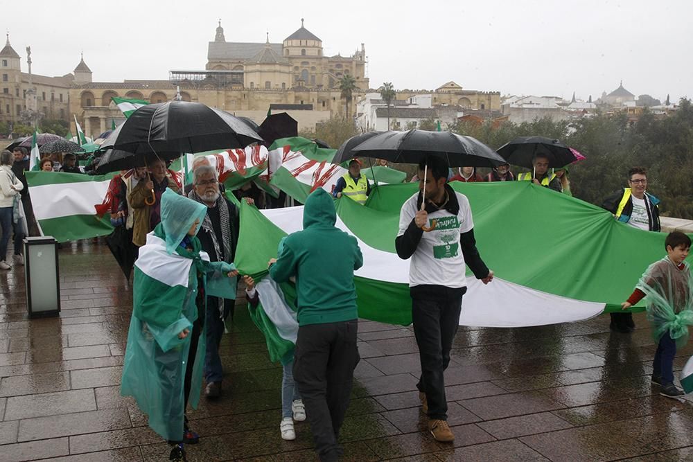 Unas 2.000 personas marchan en Córdoba para que "Andalucía despierte"