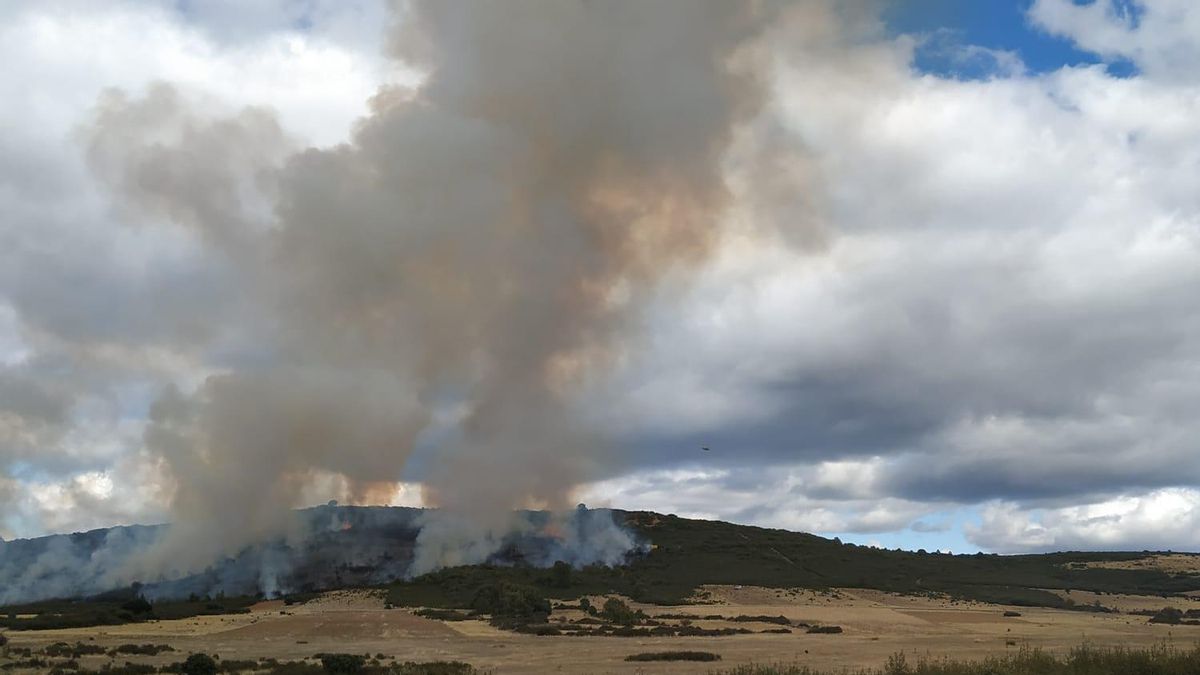 Incendio en Palazuelo de las Cuevas, Zamora.