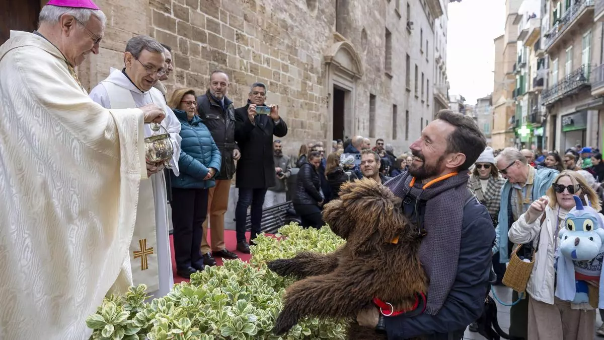 Sant Antoni 2025: Los perros y las aves rapaces protagonizan las 'beneïdes' de Palma