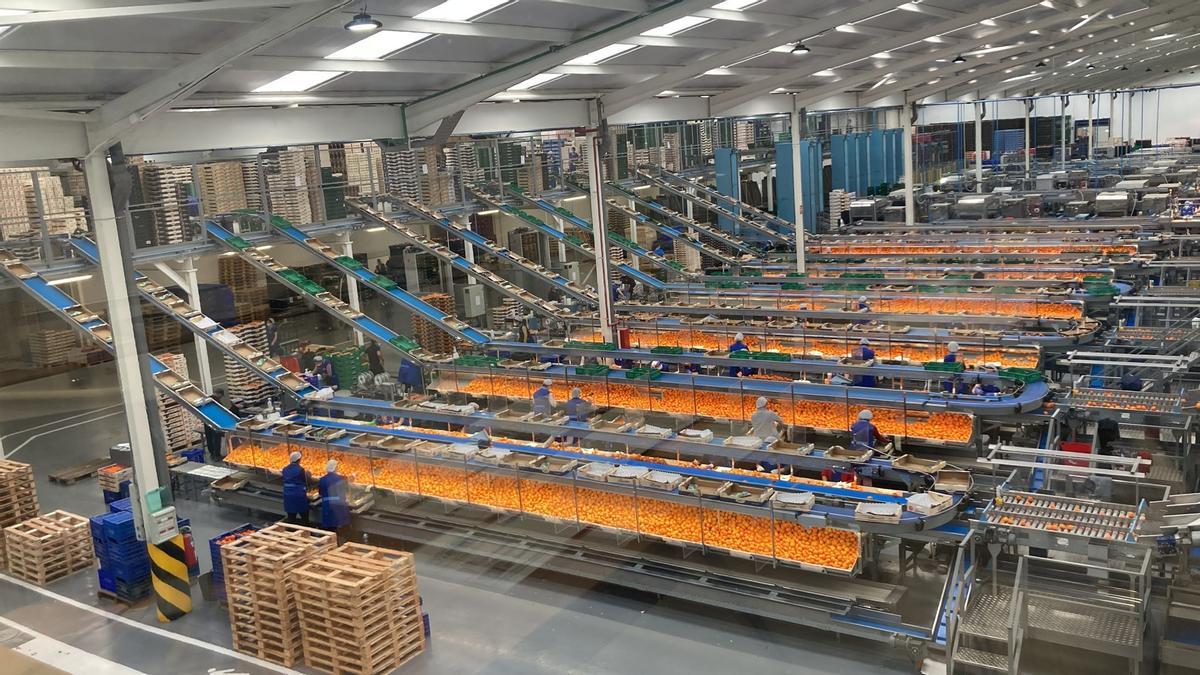 Talleres Oliver, una de las firmas finalistas del certamen Empresa del Año, ofrece al cliente maquinaria que mejora sus procesos y costes productivos, con el trato y servicio más personalizados.