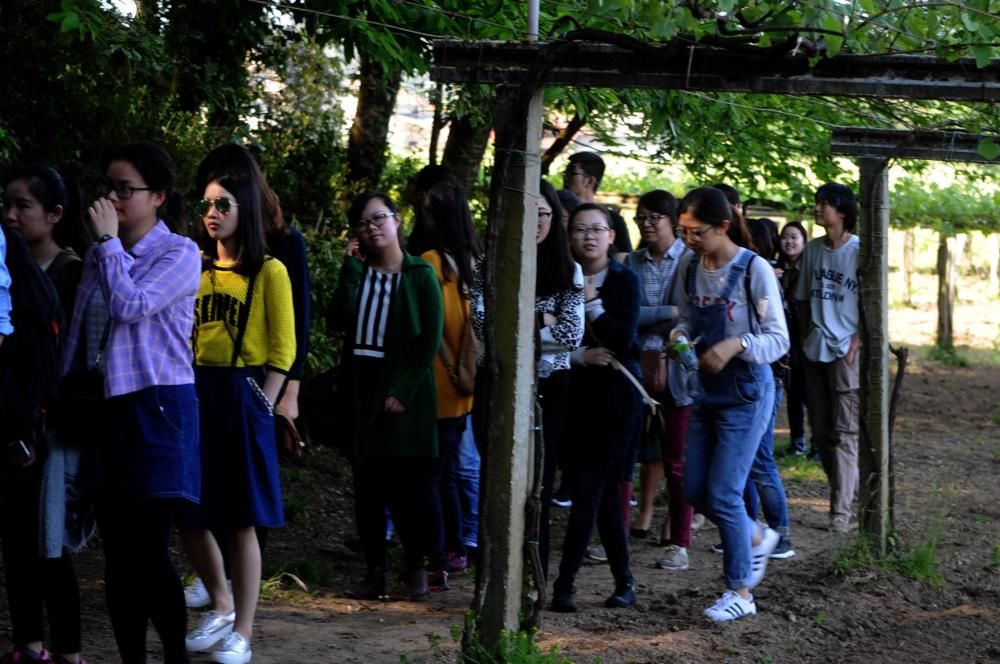 Estudiantes chinos visitan el jardín botánico de Q