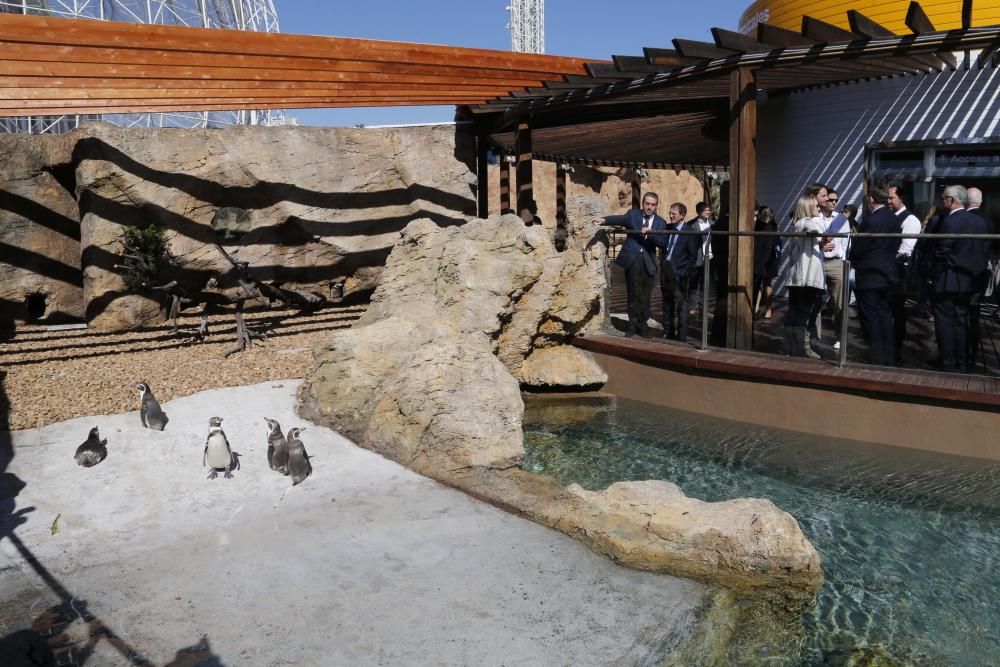 Inauguración del nuevo Oceanogràfic