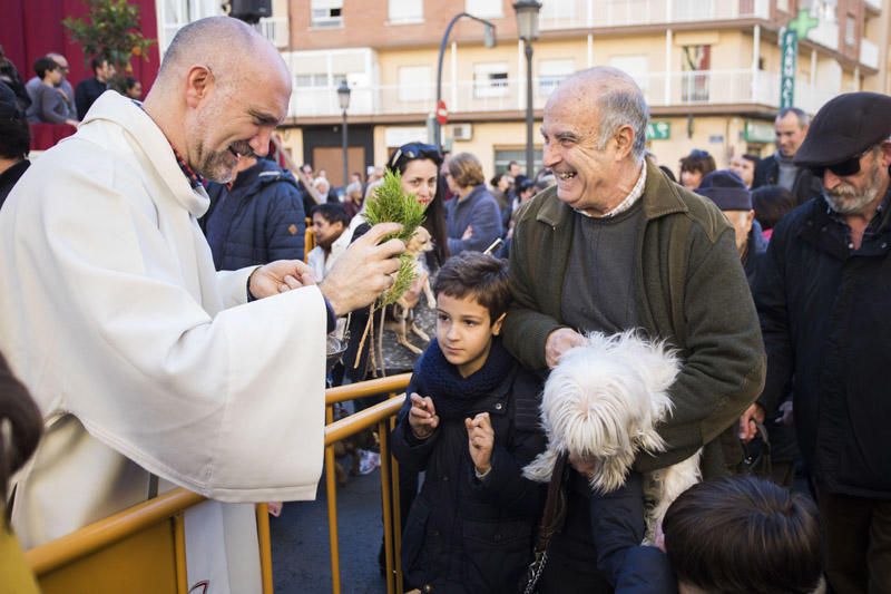 Bendición de animales por Sant Antoni del Porquet