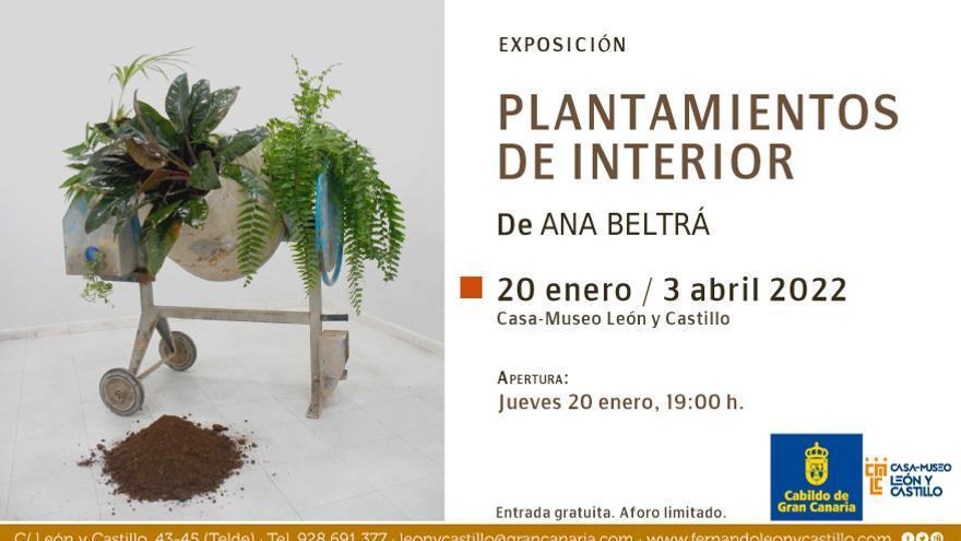 Plantamientos de interior