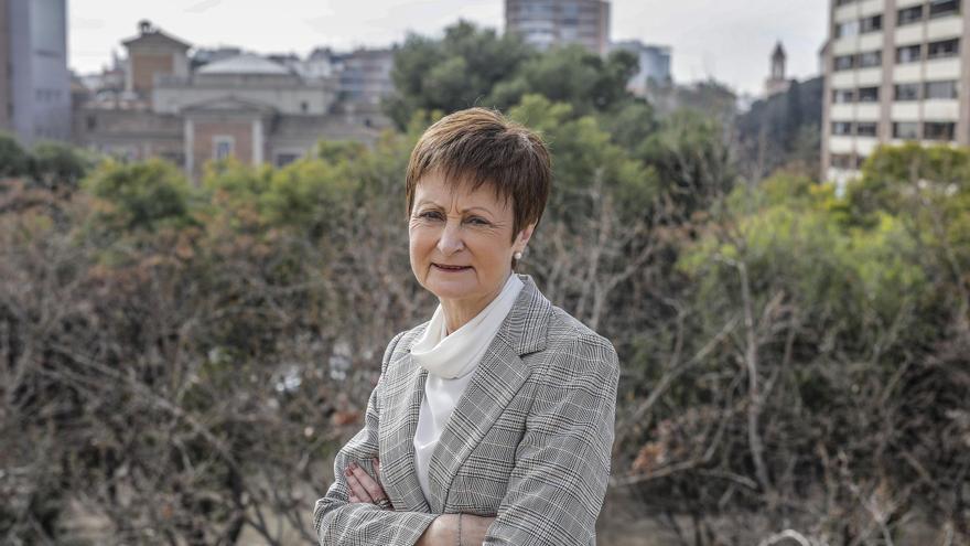 Mestre dice que ampliar el Clínico es necesario y Patrimonio o Ayuntamiento han de decidir sobre Agrónomos
