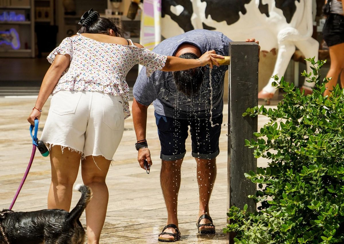 La calor i la sequera disparen el preu dels aliments La calor i la sequera disparen el preu dels aliments