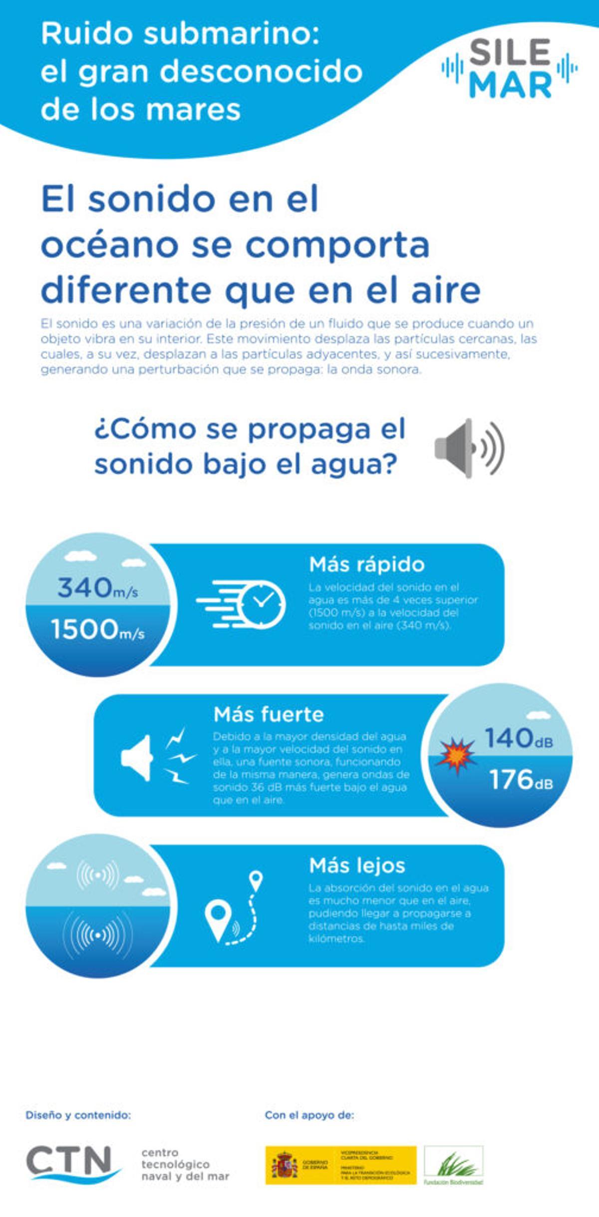 Ruido submarino: otra amenaza para la vida en los océanos