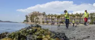 ¿Qué significa "proteger el Mar Menor"?