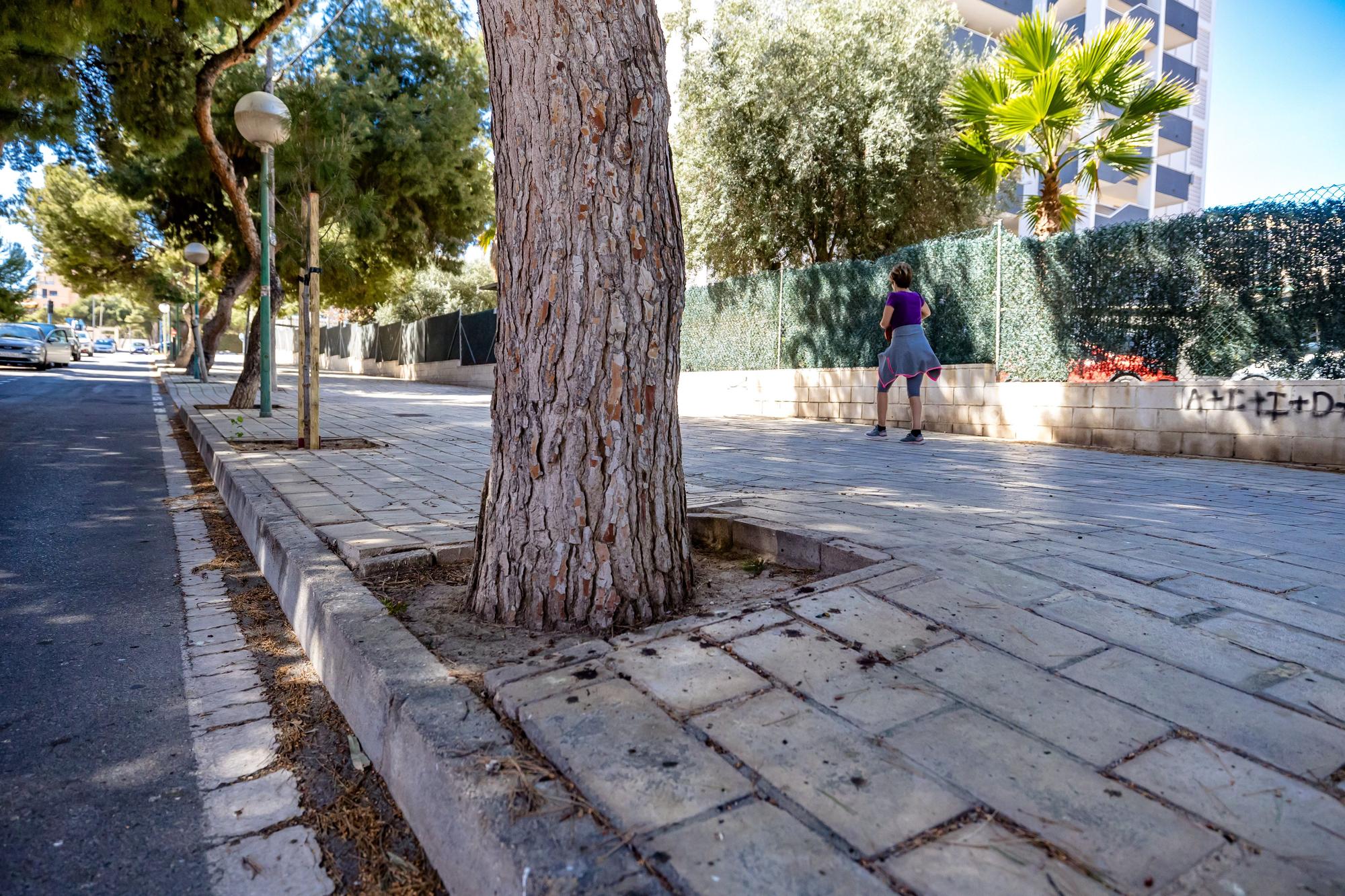 Un bosque invade una calle de la Playa de San Juan