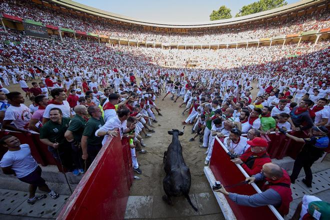 Running of the bulls (152415742).jpg