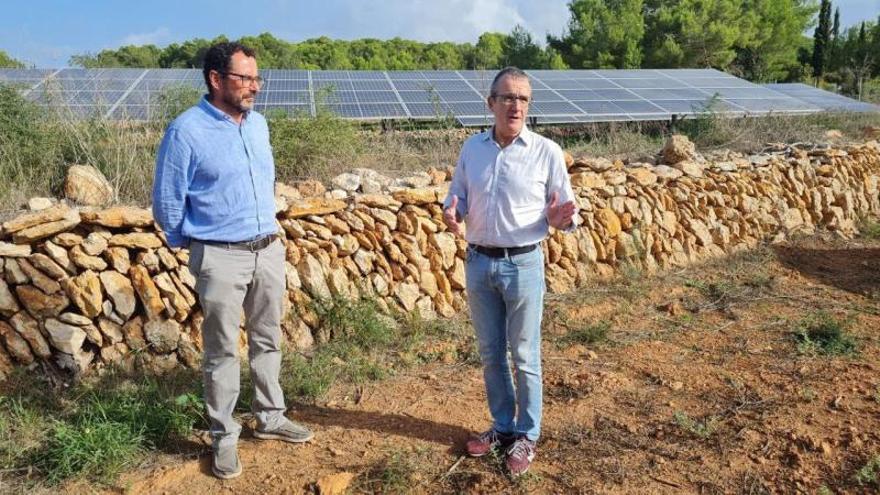 El vicepresidente Yllanes, a la derecha, en el parque fotovoltaico de Bosc d’en Lleó. | CAIB