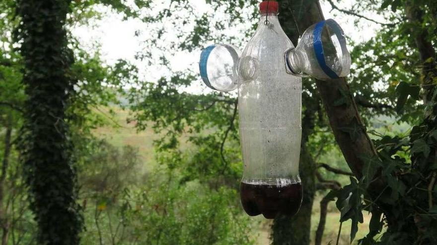 Una de las trampas ideadas por los vecinos de la parroquia de Taboadelo.  // FdV