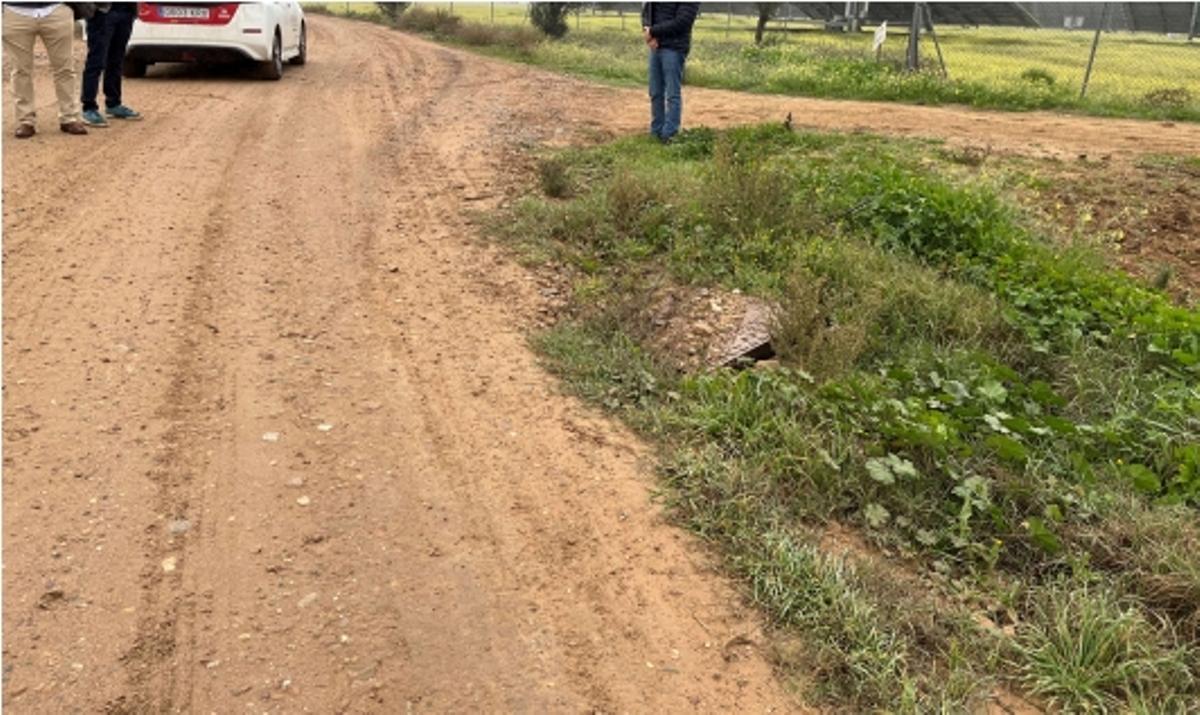 Camino de La Zarza, en Torremejía