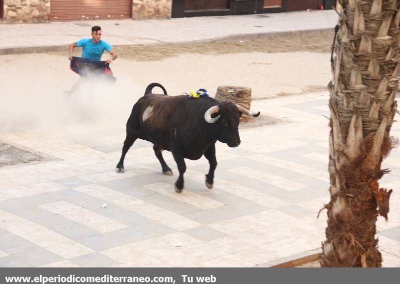 Desfile de peñas y toro