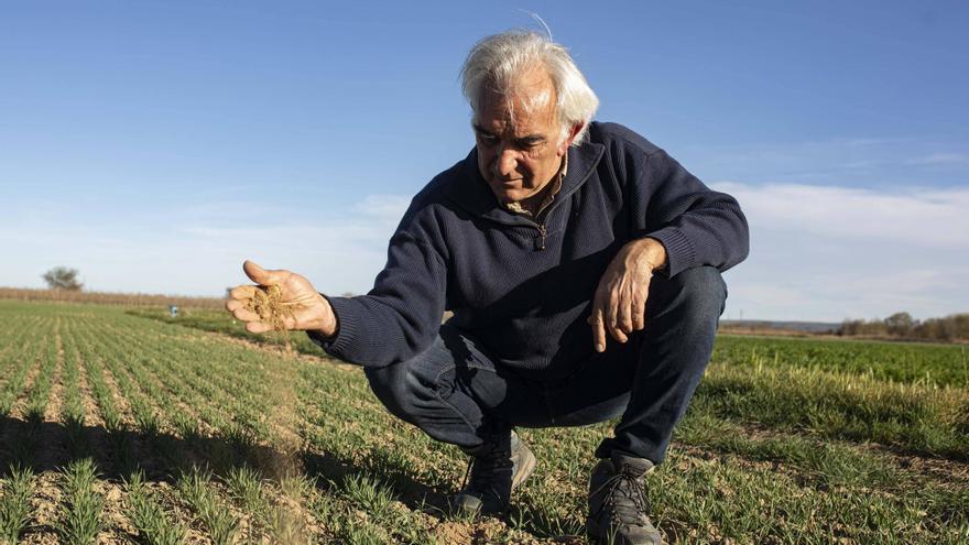 La Sequera, un trastorn del present i per al futur