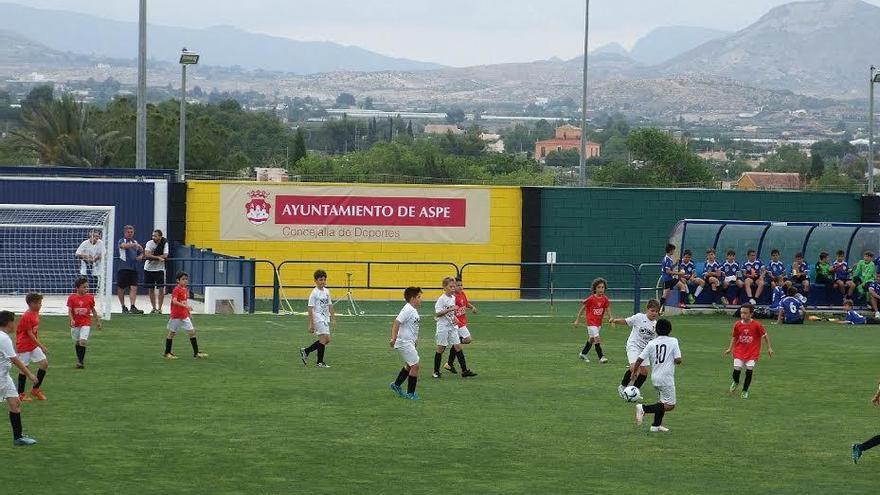 El Aspe presenta a todos sus equipos.