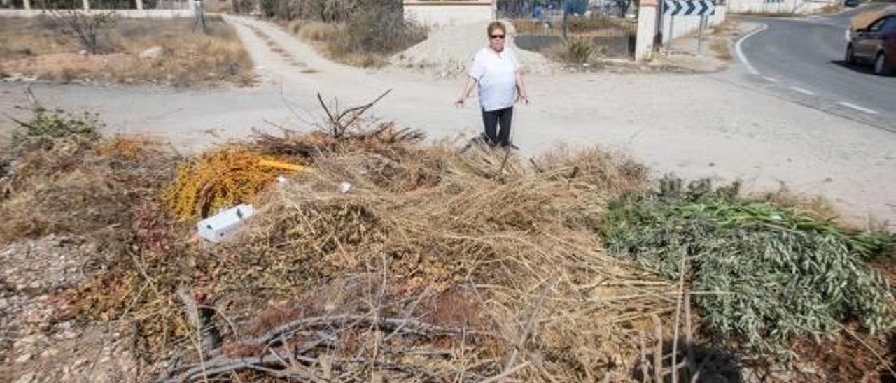 Restos de poda acumulados esta semana en la Cañada del Fenollar.