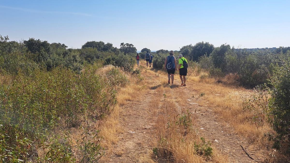 Un paseo matinal realizado este verano.