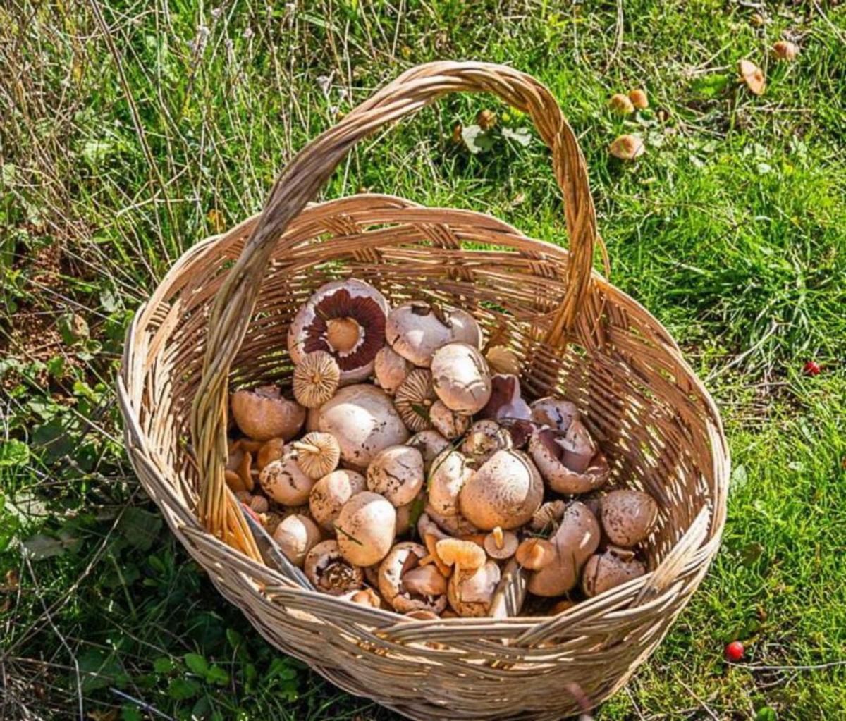 Cartel del Parque Montes del Noroeste.