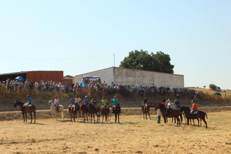 Fiestas en Zamora: Encierro en Argujillo