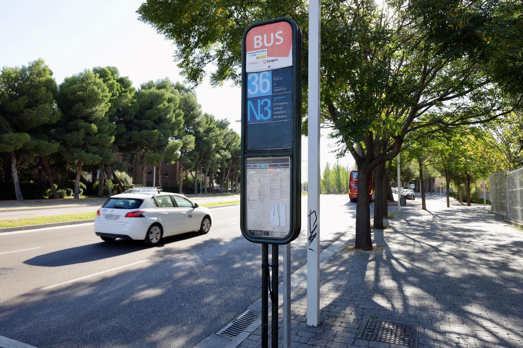 En imágenes | Recorrido por la avenida Manuel Rodríguez Ayuso de Zaragoza