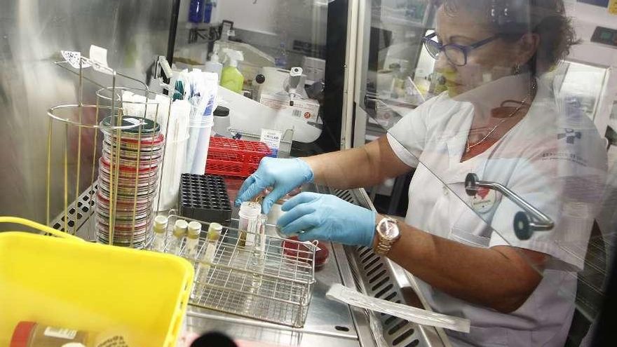 Una trabajadora del servicio de Microbiología del HUCA.