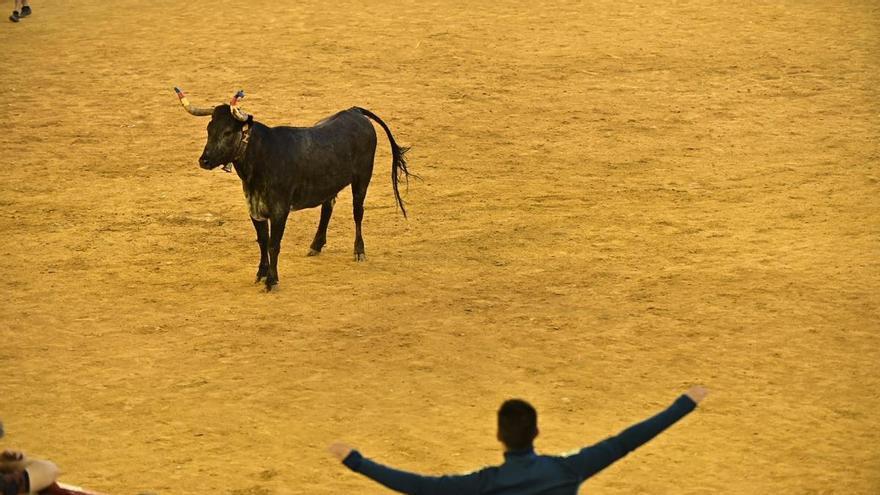 Una menor sufre una agresión sexual en la plaza de Toros de Zaragoza: hay un hombre detenido
