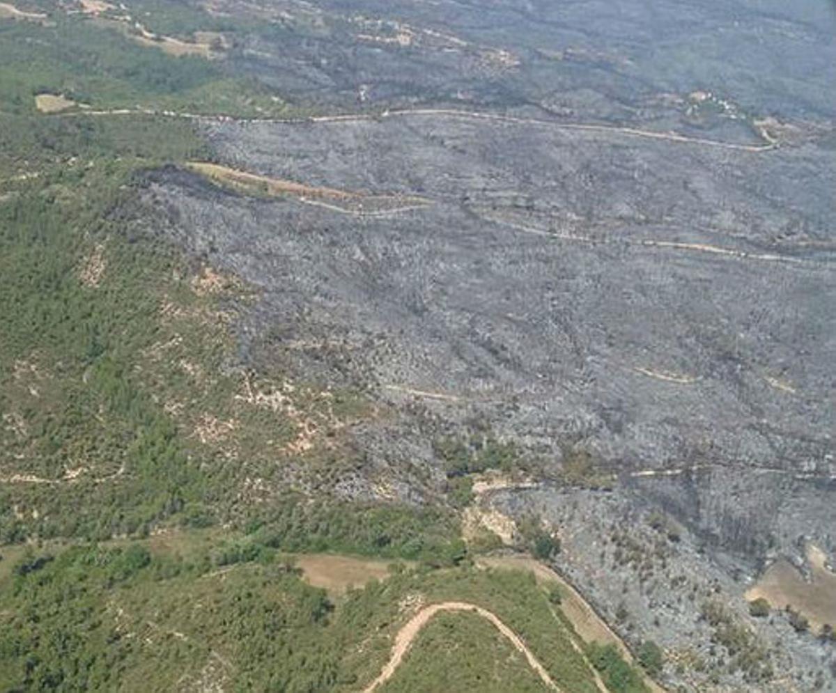 Imatge de la superfície cremada al flanc dret de l’incendi d’Òdena.